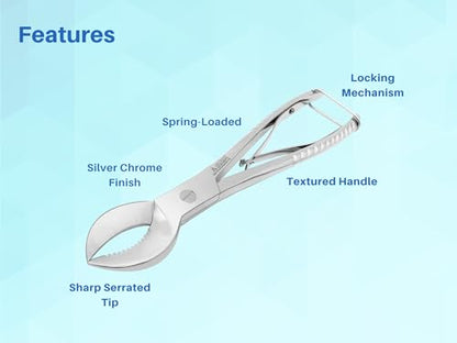 Coral Cutters 7.5" Crescent Style Heavy Duty Medical Grade Stainless Steel Fragging Tool for Reef & Marine Aquariums, Precision Coral Trimmer for SPS & LPS Corals