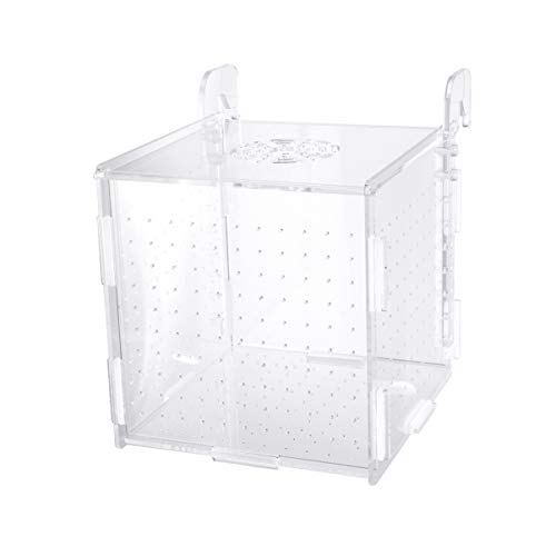 Aquarium Fish Breeding Box - Transparent Acrylic Fish Tank Hatchery Hanging Incubator for Shrimp Clownfish (Hook 151516cm)