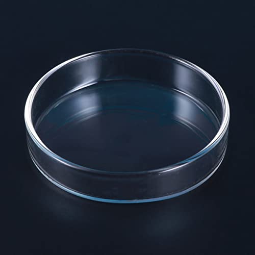 BESPORTBLE 1pc Transparent Glass Shrimp Feeding Bowl Glass Round Dish for Fish and Reptiles Design Aquarium Ornamental Supply