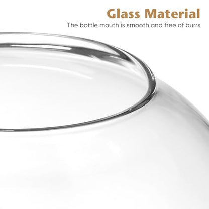 Yardwe Glass Terrarium Jar with Stopper 5.90In Hydroponic Plant Container Miniature Garden Vase Clear Glass Terrarium for Home Office Decoration