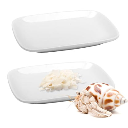 2 Pcs Small Reptile Feeding Dish Ceramic Eating Basin Feeding Bowl for Hermit Crab Snail Cricket Insect Invertebrate Isopod