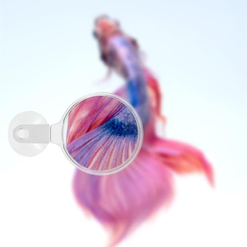 Aquarium Magnifier with Suction Cup Sturdy Viewing Tool for Fish Tank Observation for Small Animals Plants and Micro Landscapes for Enthusiasts