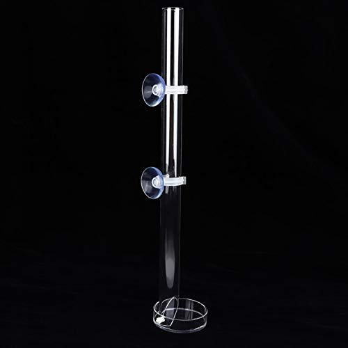 Aquarium Feeder, Acrylic Transparent Fish Feeding Tube with Tray Aquarium Fish Shrimp Feeder with Fixing Bracket Suction Cups(20cm)
