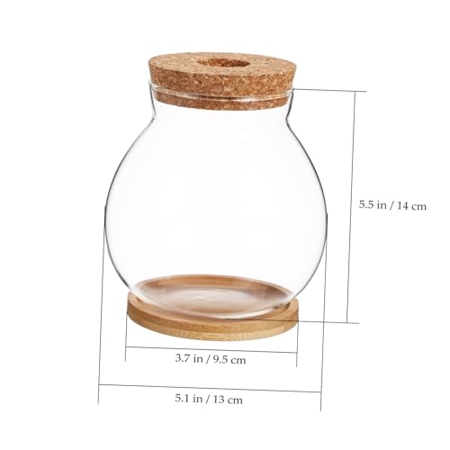 Desktop Hydroponic Fish Bowl Glass Aquarium with Mat for Betta and Aquatic Plants Stylish Terrarium for Decor
