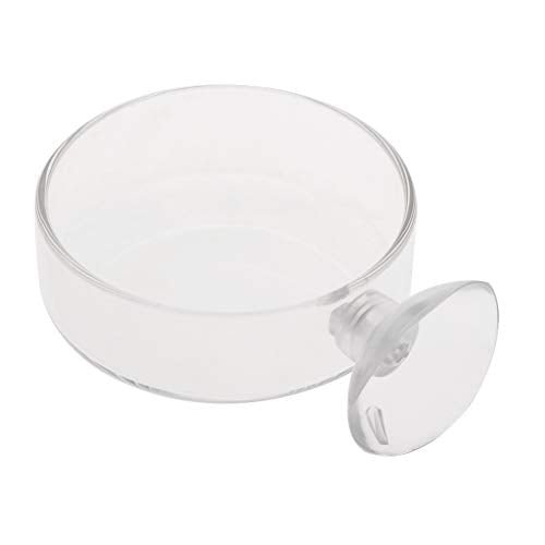 Glass Feeder Dish 2.4 Inches Wide 0.7 Inches Transparent Round Food Bowl for Cory Pleco Bottom Feeding Fish Aquarium Heater Light Thermometers Gravel Sand Decorations