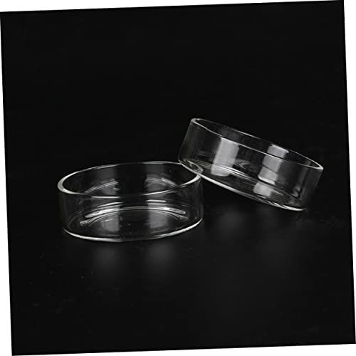 VOSAREA 5pcs Round Crystal Shrimp Feeding Bowl Glass Shrimp Food Dish for Aquarium Feeder Dish for Tank