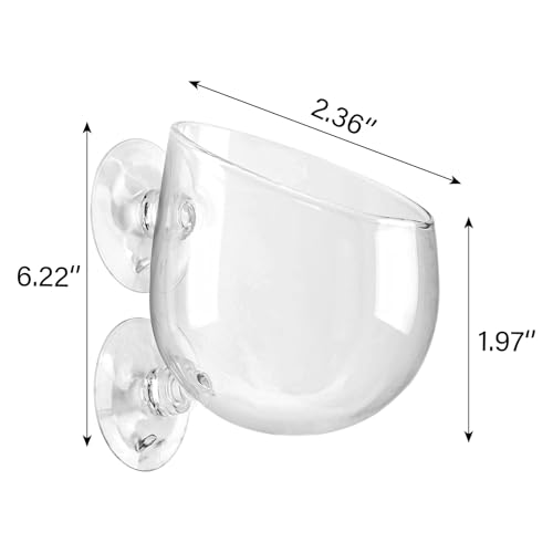 WHJY Transparent Glass Round Aquarium Suction Cups - Plant Holder, Fish Tank Decor - Set of 4