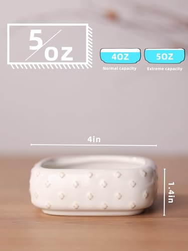 2-Pcs Ceramic Reptile Food Bowl, Mini Reptile Feeder (Farmhouse White) - color: Farmhouse White