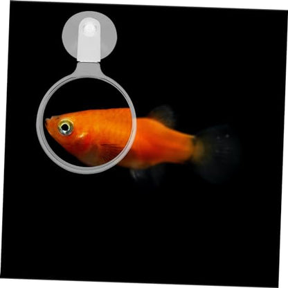 Totority Acrylic Magnifier for Aquarium Observation Multifunctional Glass for Plants Spiders and Small Animals Cup Design for Stability Educational Tool for Boys and Girls and Adults