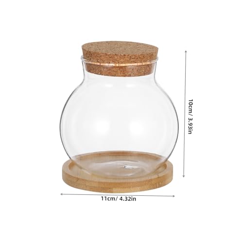 MAGICLULU 2Set Hydroponic Plant Vases Small Glass Betta Tanks with Lid and Mat for Desktop Decoration for Plant Lovers and Home Office Decor
