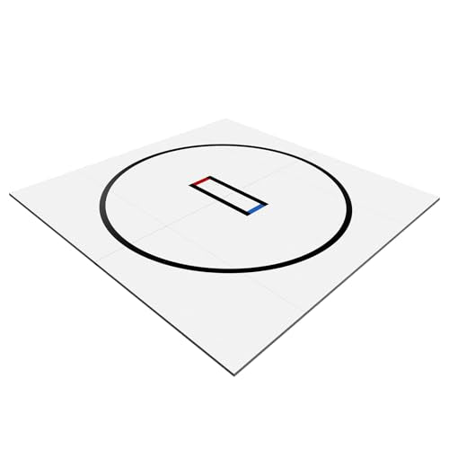 Generic 10x10ft Portable MMA/BJJ/Judo/Gymnastics Training Mat Wushu Judo Mat for Grappling Martial Art Boxing