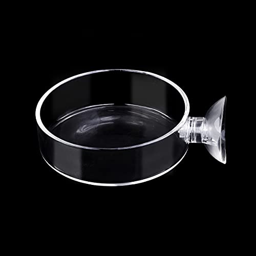 60mm Aquarium Shrimp Feeder Dish with Suction Glass Fish Tank Feeding Bowls Round Clear Dishes Tray