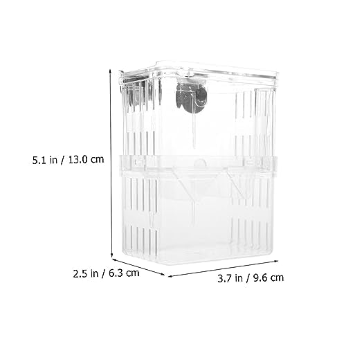 Healifty 2Pcs Large Fish Breeding Box with Suction Cups Aquarium Acclimation Case Fish Tank Hatching Incubator for Separating Aggressive Injured Random Color