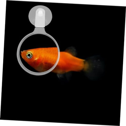 Garneck Fish Tank Glass for Detailed Observation of Small Animals and Plants Easy Installation Cup Viewer for Aquariums and Landscapes