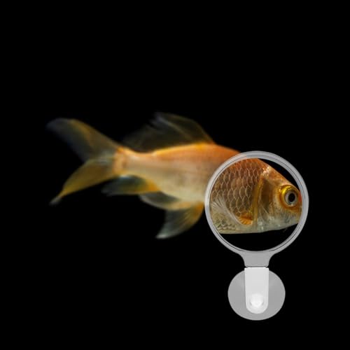 FOMIYES 4pcs Acrylic Fish Tank Glass with Cup for Observing Betta Fish Microlandscapes Plants and Spiders for Seniors and
