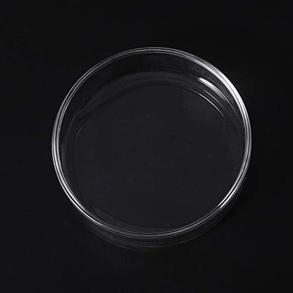 Ornamental Fish Feeding Bowl Clear Snacks Candy Nut Storage Dish for Watching Eating Snack Storage Dish