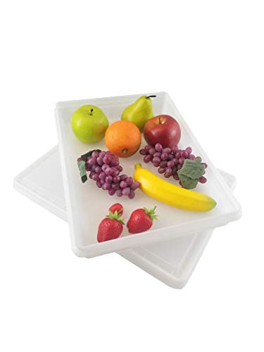 Fish Tubs/Food Storage Bins 10lb 11.5x15.5x2", Pack of 10 Shallow Containers with Lids, White