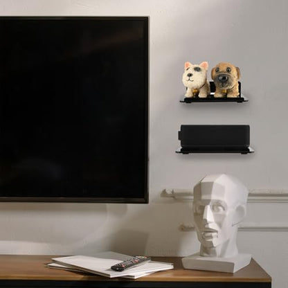 Cosmos Set of 2 Acrylic Floating Wall Shelves Hanging Shelves, Adhesive Wall Display Shelf Stand for Plant Pot, Speaker, Security Camera, Figures in Office and Home, 7.8 x 5.8 Inch (Solid Black) - color: Solid Black