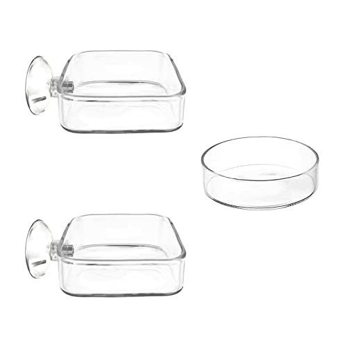 Aquarium Shrimp Feeder Dish Glass Fish Tank Feeding Bowls, 2pcs Square Glass Food Bowl (60mm), 1pcs Round Fish Feeding Bowls with Suction Cups (60mm)