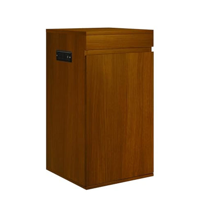 10-15 Gallon Fish Tank Stand with Storage Cabinet, 16.9" x 16.9" Aquarium Stand with Power Outlets, 330LBS, Cube Tank Stand with Adjustable Shelf, Brown