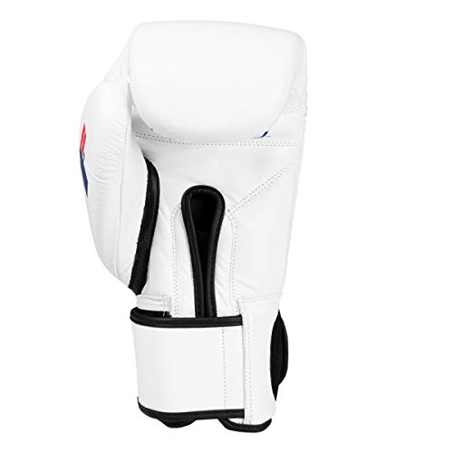 Fighting Sports Fury Professional Training Gloves - Boxing Gloves Boxing, Training Gloves, MMA Gloves, Oz Training Gloves, Kickboxing Gloves, Punching Bag Gloves, Sparring Gloves - color: White, size: 14 oz