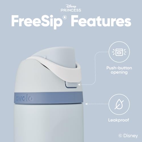 Owala Princess FreeSip Stainless Steel Water Bottle 24 oz Cinderella - color: Cinderella, size: 24 Ounces