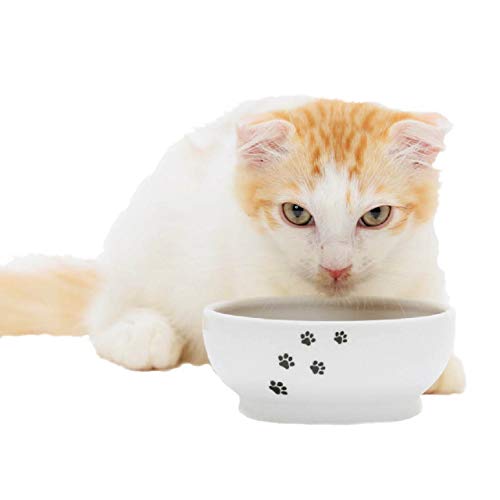 Necoichi Cat Food Bowl & Water Bowl - Shallow Wide Cute Cats Dish - Prevents Neck & Whisker Fatigue - Dishwasher & Microwave Safe - No Spill Ceramic Cat Bowl for Indoor Cats & Kittens (Paw Style) - color: Cat-