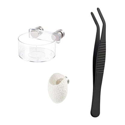 Jumping Spider Feeding Dish Set, Magnetic Water Bowl & Silk Cocoons with Magnets - Reptile Feeding Tongs and Complete Enclosure Accessories Kit