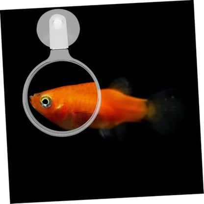 4pcs Fish Tank Glass with Cups Clear Acrylic Lens for Easy Observation of Betta Fish Plants and Creatures Aquariums