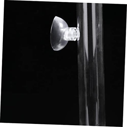 BESPORTBLE Transparent Glass Shrimp Feeding Tube Set Feeder Tray for Aquarium Durable and Reliable Glass Design Convenient Feeding for Fish and Shrimp Easy to Install