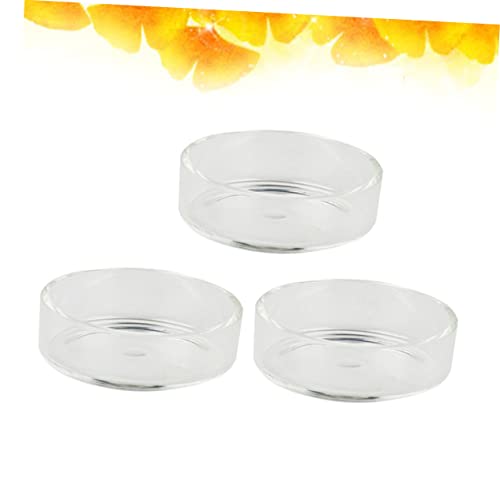 BESPORTBLE 3pcs Multipurpose Feeder Bowl Shrimp Food Dish for Aquarium Decorative and Safe for Pets