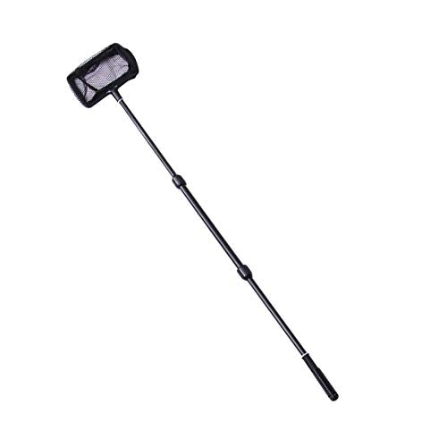 POPETPOP Fishing Net with Handle : Extendable Fish Net for Fish Tank Pond, Extend to 39.4 Inch