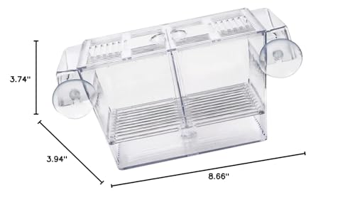 BESPORTBLE Transparent Fish Breeding Box Dual Layer Incubation Container for Fry Durable Aquarium Isolation Box with Suction Cup Design for Young Fish Care Large
