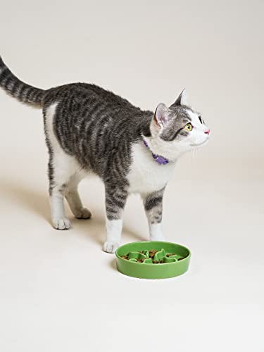Ceramic Slow Feeder Dog Bowls Small Breed, 0.5 Cups Dog Food Dish for Fast Eaters, Puzzle Bowl for Small Dogs and Cats, 5.5 Inch-Green