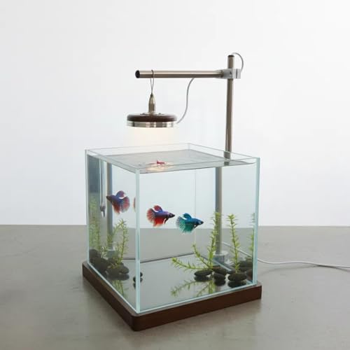 Mini Fish Tank with LED Light, 2 Gallon Desktop Aquarium for Betta Fish & Shrimp, Quiet Small Fish Tank for Home Office Decor