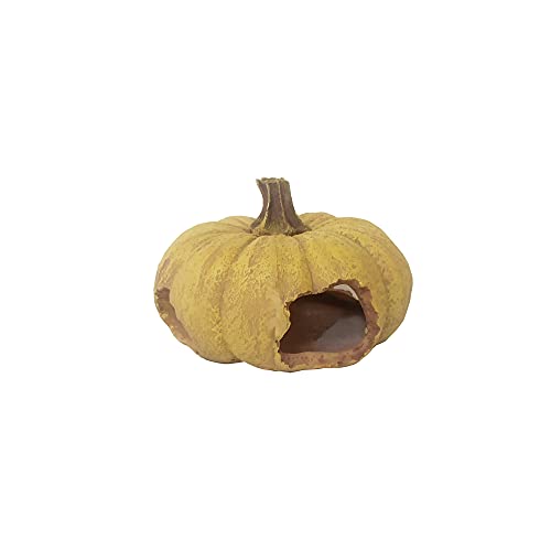 Shelltech Reptile Hideout Resin Aquarium Decoration Pumpkin House for Small Fish，Shrimps,Frogs,Gecko, Spider,Turtle and Snake (Pumpkin)