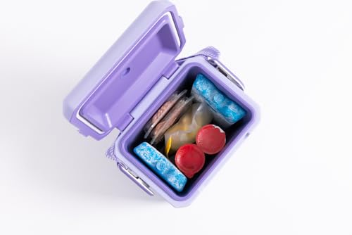 Igloo Maxcold Ice Block,2 Pieces, Ice Block - color: 2PK Large