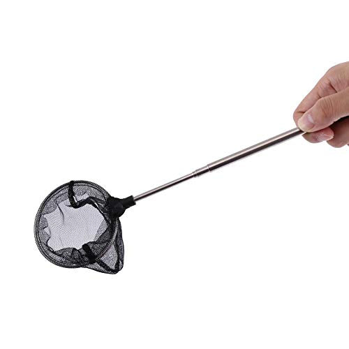 TOPINCN Fishing Landing Net, Round, Triangle (Optional), Compact, Adjustable, Telescopic Folding Handle, Stainless Steel, Approx. 16cm - 44cm, Ideal for Aquarium Fishbowl Fishes Shrimps - color: Round
