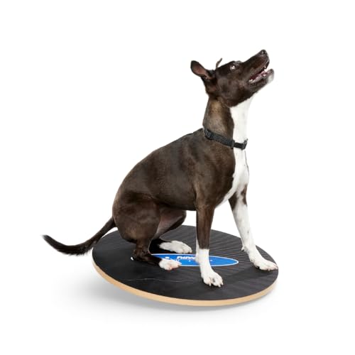 FitPaws® Wobble Board, Dog Balance Core Fitness Rehab Tool, Dog Fitness - size: 20"