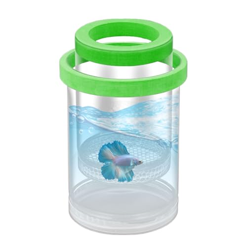 Fish Breeder Box - Clear Acrylic, Strong Suction Cups, V-Grate, Safe Fry Hatching Tank Guppy, Protects Fish, Betta Shrimp Isolation Space, Aquatic Separator Nursery | for Aquarium - color: Green
