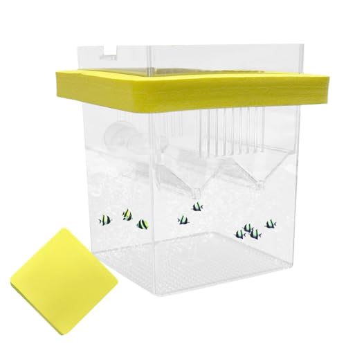 Aquarium Breeder Box – Fish Breeding Tank Box, Floating Fish Isolation Box With Suction Cups, Fish Egg Hatching Box For guppiess & Betta, Small Fish Breeder Tank, Fish Hatchery Box For Aquariums