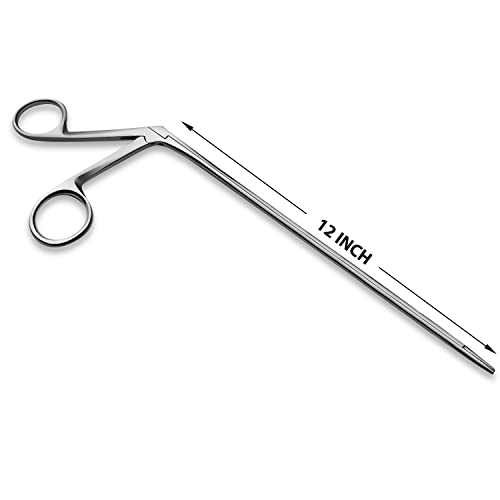 Precise ENT Procedures with Alligator Ear Forceps - Curved Jaw Design, Non-Slip Grip Handle, Fine-Tip, Reusable and Easy to Clean - 12 Inches