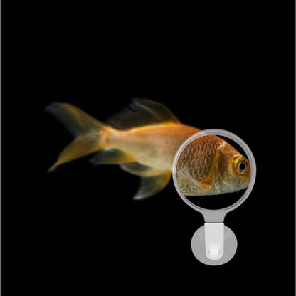 Aquarium Magnifier with Suction Cup Sturdy Viewing Tool for Fish Tank Observation for Small Animals Plants and Micro Landscapes for Enthusiasts