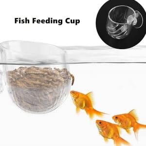 Aquarium Feeder Live Red Feeding Cone Cup Transparent Acrylic Fish Shrimp Feeder Crystal Glass Plant Feeding Container Holder with Suction Cups