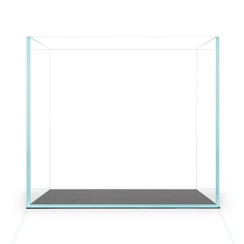 2 Gallon Clear Glass Cube Rimless Tank - Space Saving Aquarium - 7.87 x 7.87 x 7.87 inches