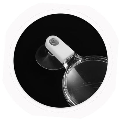 Betta Fish Glass Cup Explore Landscapes Aquariums for Observing Ants Spiders and Small Plants for Nature Enthusiasts