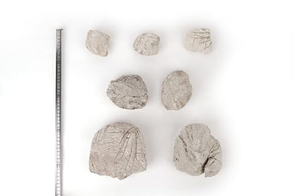 Elephant Skin Stone Natural Multi-Texture Rocks Grey(18lbs, 3~9 inches,7pcs) for Aquarium, Paludarium, Terrariums, Landscaping, Decorative of Caves, Waterfalls, Cliffs - size: 16 Elephant Skin Stone Grey(3-9 inches,18lbs)