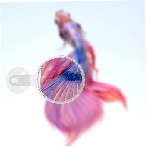 DECHOUS Aquarium Glass Cup for Detailed Observation of Small Animals and Plants Fish Tanks Easy to Install for Betta Fish Landscapes