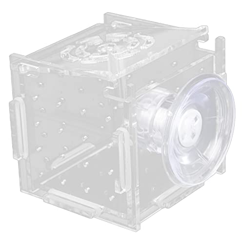 MAVIS LAVEN Fish Isolation Box, Acrylic Breeding Hatchery with Feeding Hole, 1.5mm Openings for Baby Fish and Shrimp, Easy Mounting for Aquariums (Single Grid mini 6 * 6*)