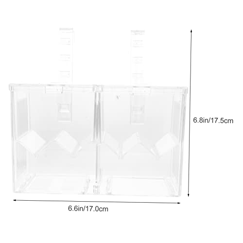YARNOW Aquarium Isolation Box for Fish Breeding Separation Container Easy Install Breeding Holder to Increase Survival Rate Sturdy Design for Fish Tank Use